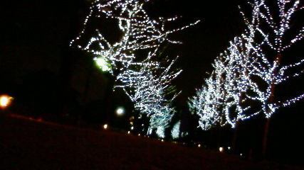 c0107180_17525523.jpg