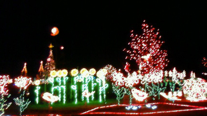 c0107180_175458100.jpg