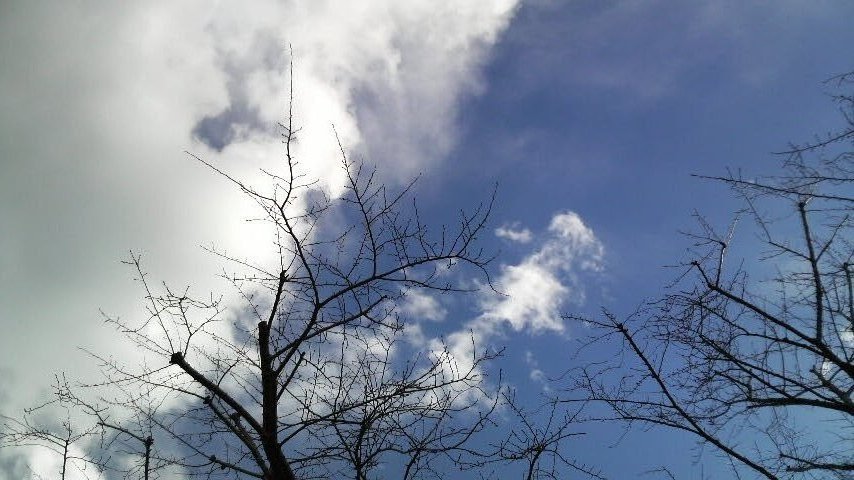 b0134285_17393869.jpg