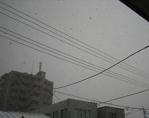 c0209386_1971887.jpg