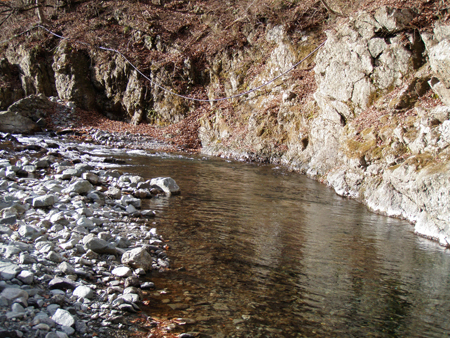 b0178889_1921333.jpg