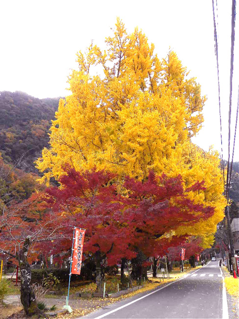 b0186790_21414573.jpg