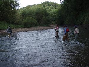 f0069890_2374619.jpg