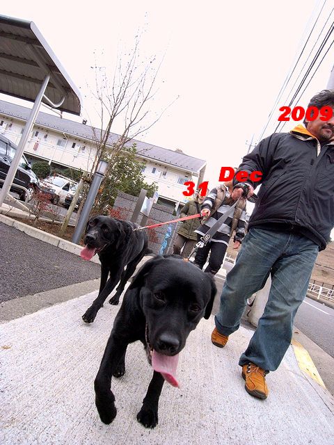 a0093592_2317196.jpg