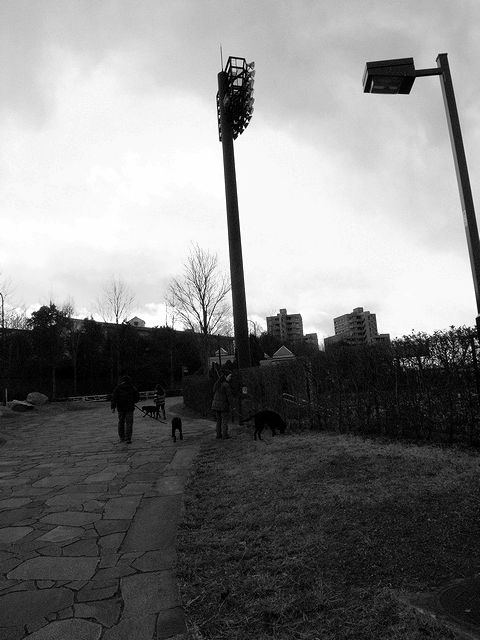 a0093592_2362854.jpg