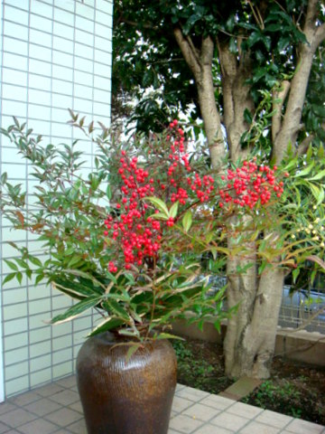 f0137694_015222.jpg