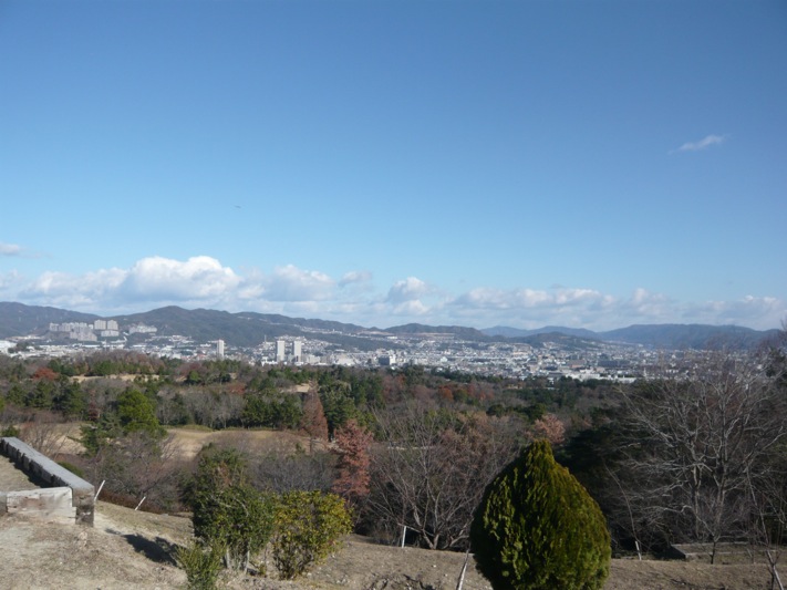 a0141498_239181.jpg