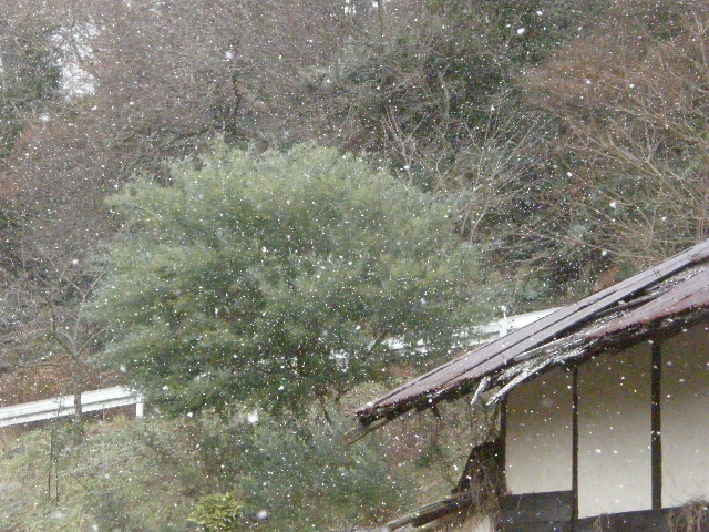 c0108198_16315518.jpg