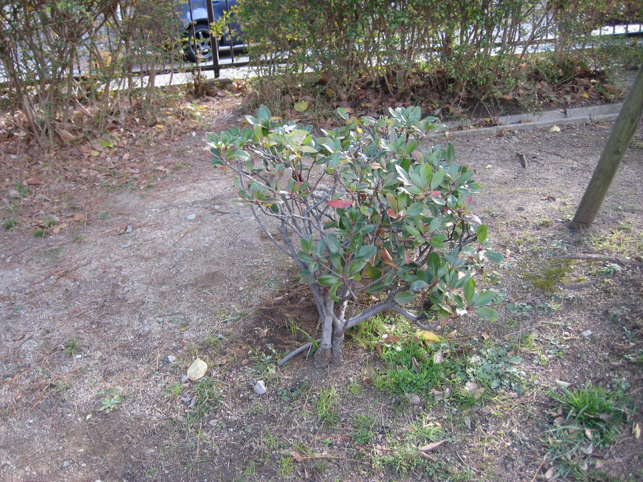 f0013998_11342320.jpg