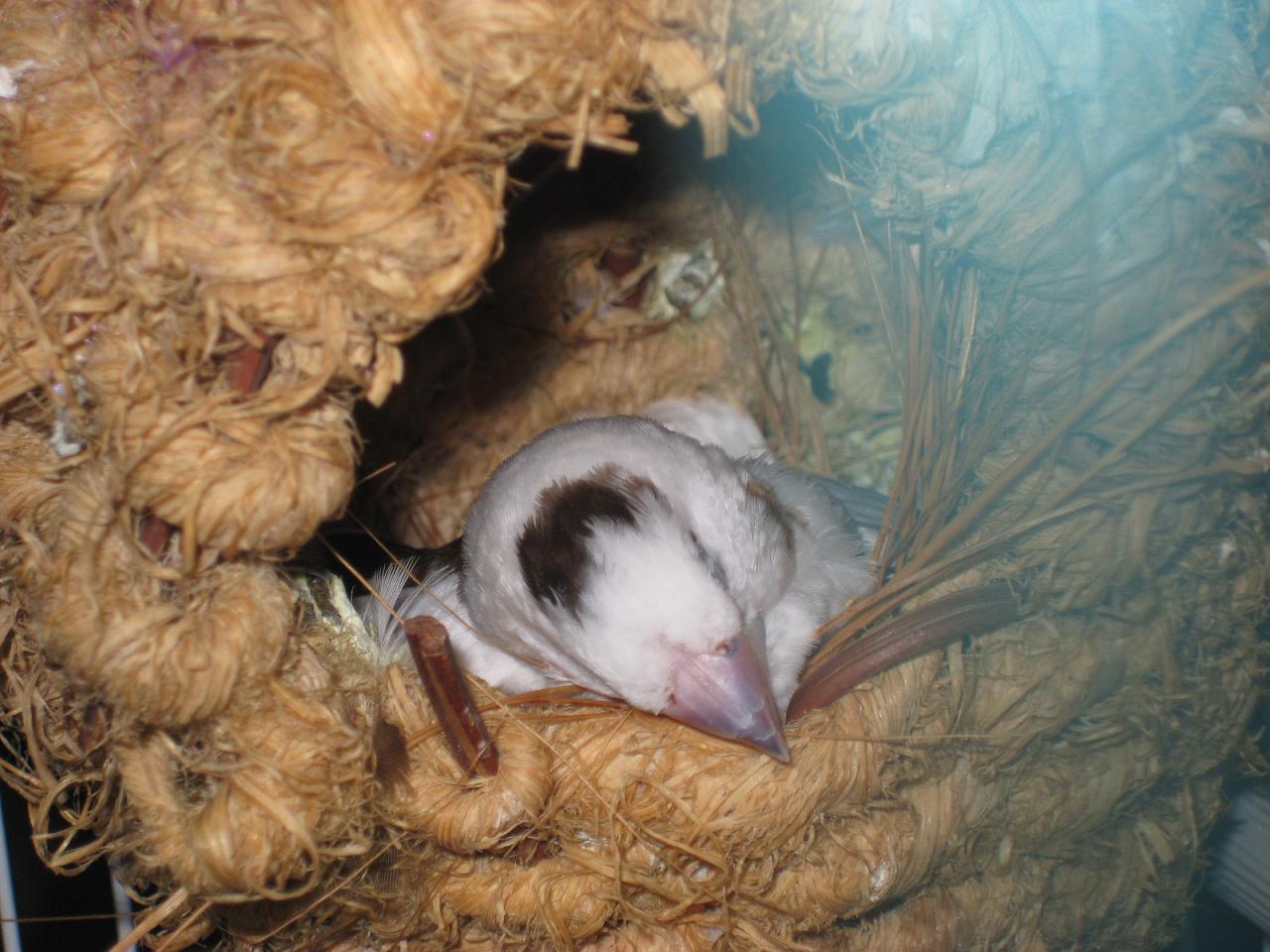f0013998_1134739.jpg