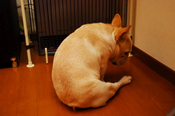 f0136098_1914766.jpg