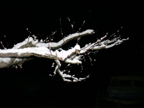 a0031000_0434758.jpg
