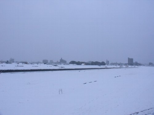 a0031000_23473319.jpg