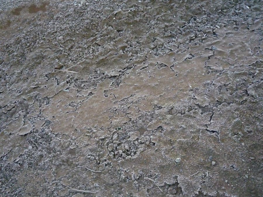c0187503_14455475.jpg