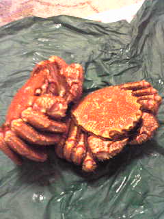 e0131904_9403838.jpg