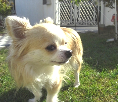 c0132205_922171.jpg