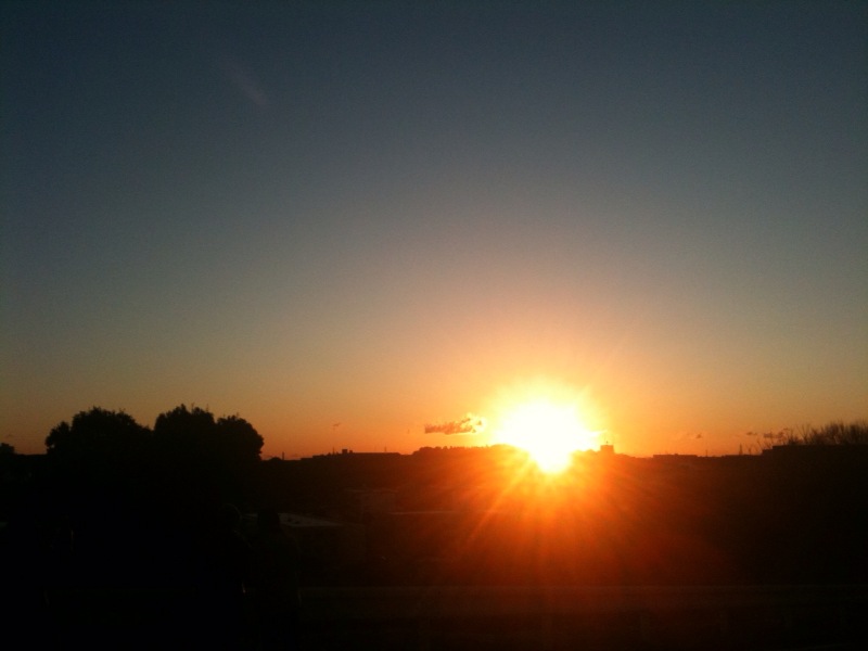 b0009206_936588.jpg