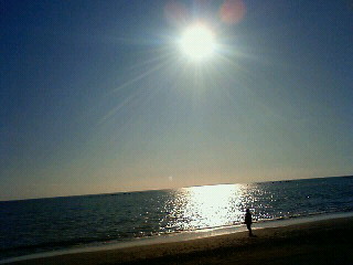 b0137009_18594938.jpg