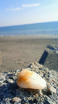 b0137009_1901289.jpg