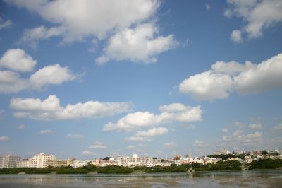 f0127610_2252393.jpg