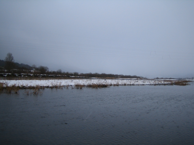 e0063923_2102418.jpg