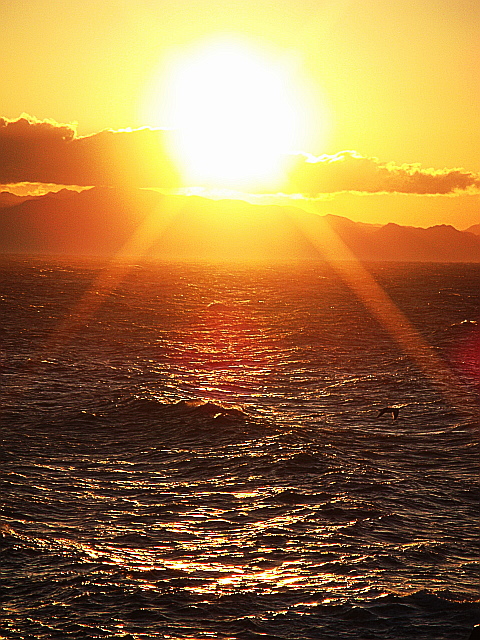 f0095431_9114627.jpg