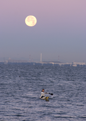 b0026633_15574677.jpg
