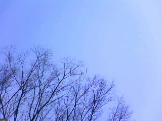 e0155536_363647.jpg
