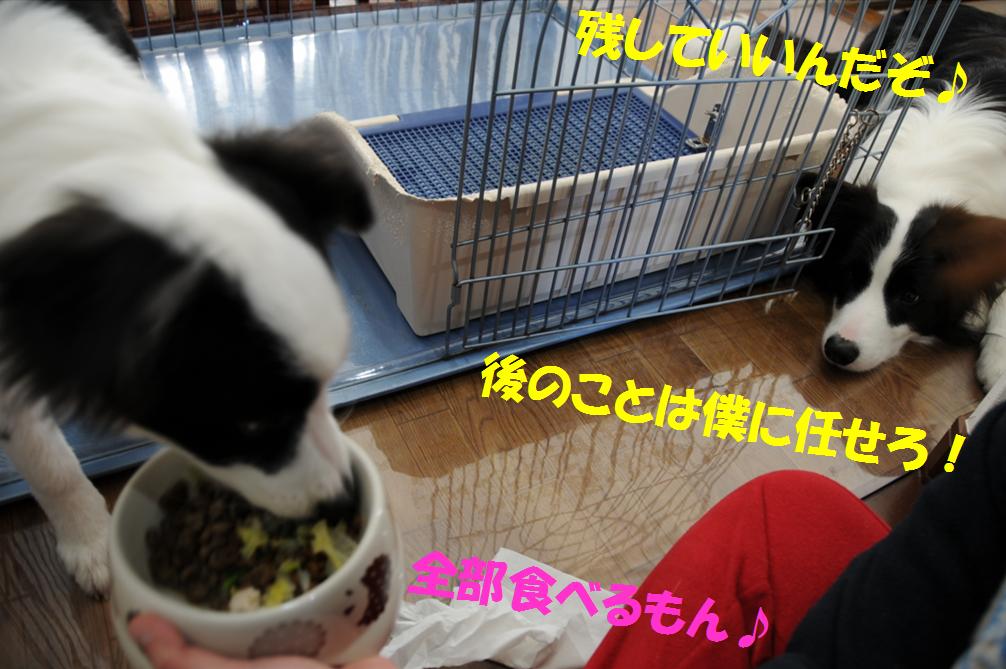 c0147241_1340961.jpg