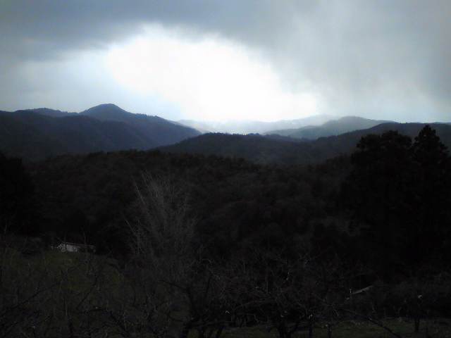 a0125343_21373995.jpg