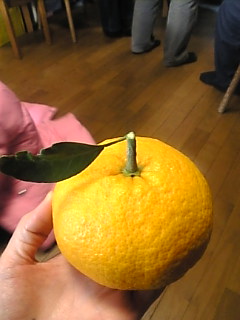f0140145_165137100.jpg