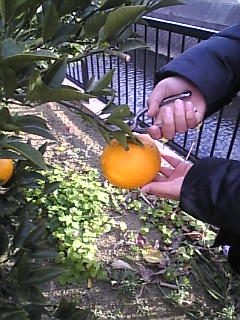 f0140145_16513758.jpg