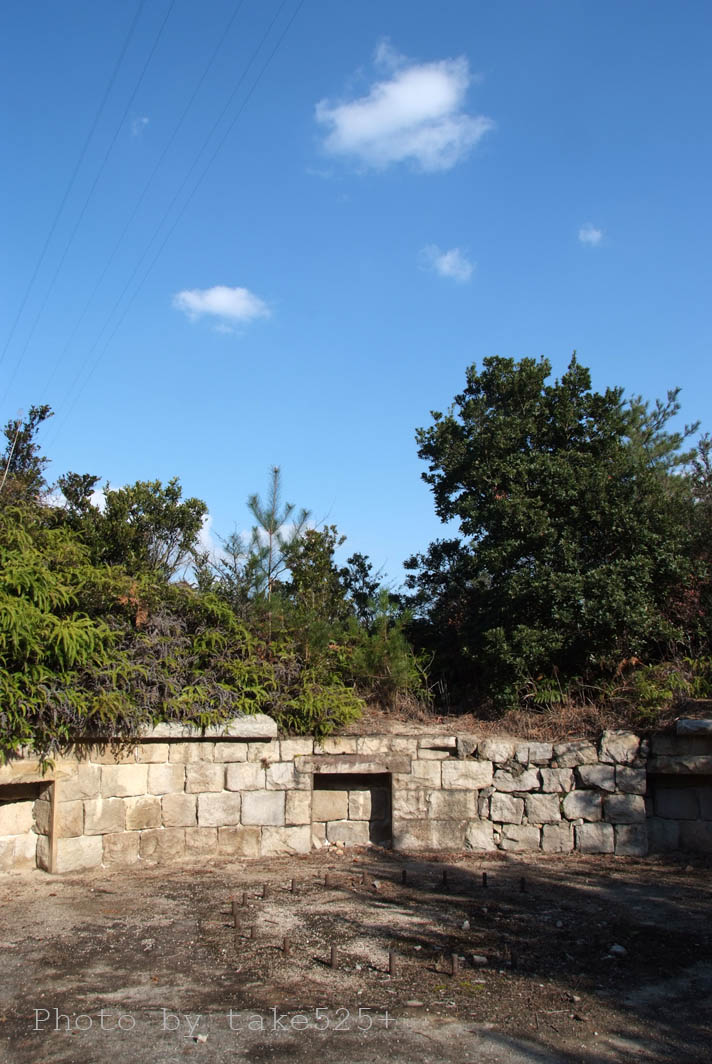 a0116946_181924.jpg
