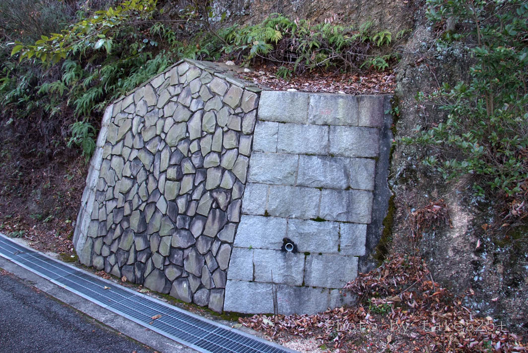a0116946_1831762.jpg