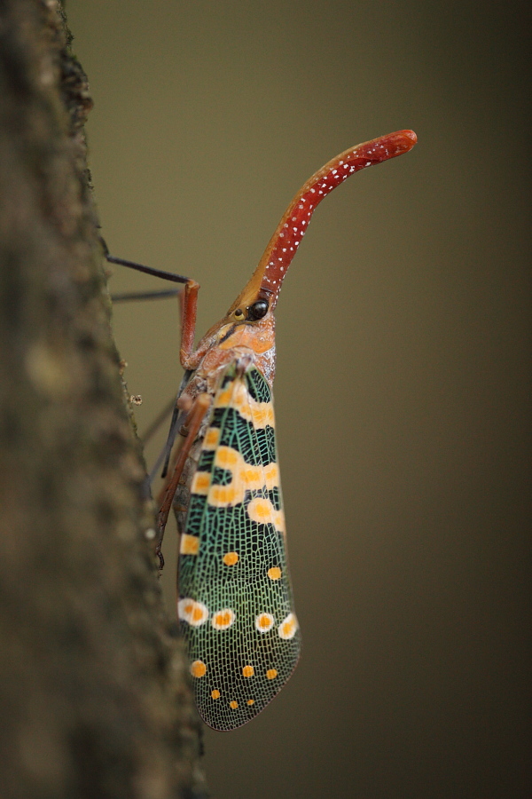 a0094850_7442465.jpg