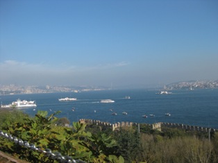 e0018350_10533491.jpg