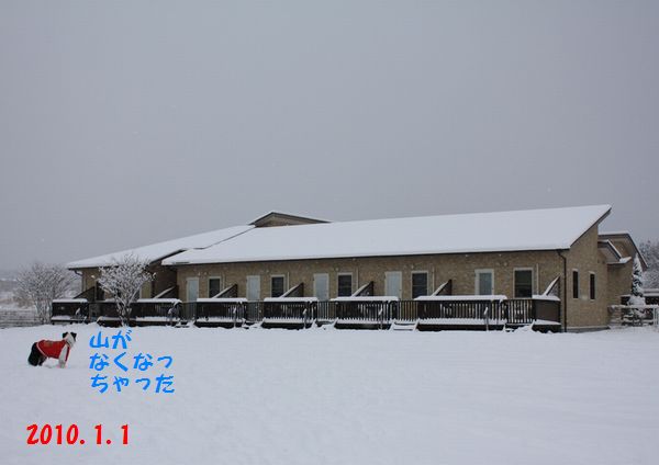a0100564_21251911.jpg
