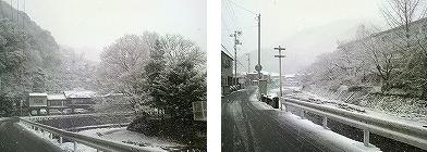 e0002466_95663.jpg