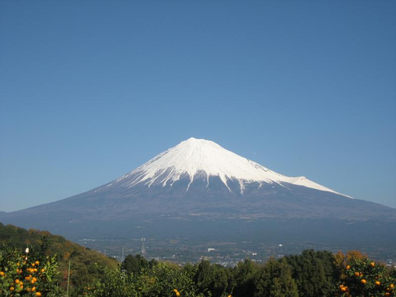 f0165567_1505257.jpg