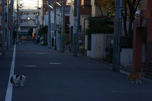 e0078069_89870.jpg