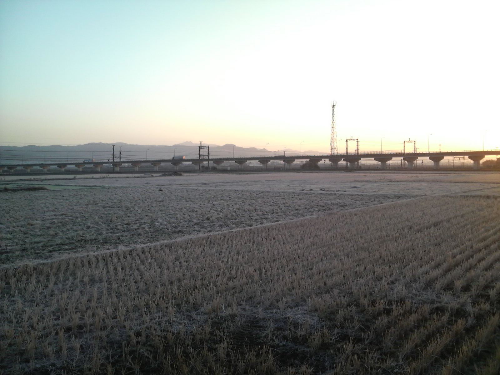 b0078370_11315720.jpg