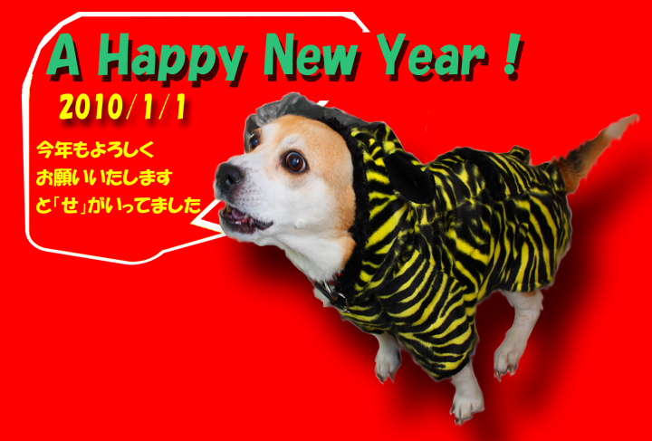 f0164989_041763.jpg