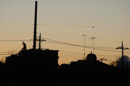 c0123890_962510.jpg