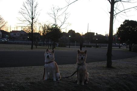 c0123890_97585.jpg