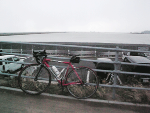 b0174996_10382594.gif