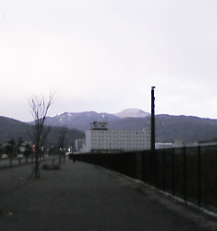 b0174996_10425484.gif
