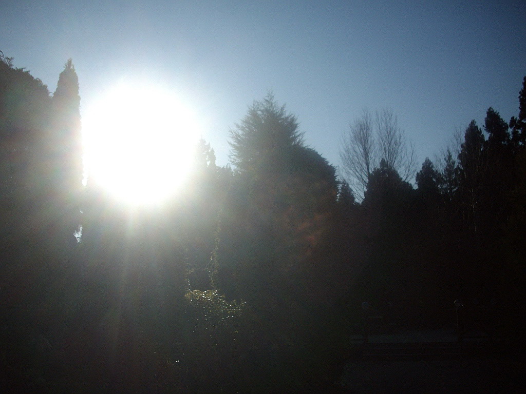 c0138198_13491442.jpg