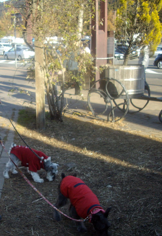 c0138198_13515759.jpg