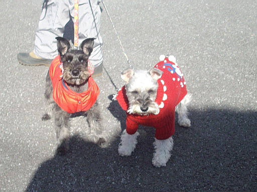 c0138198_141317.jpg