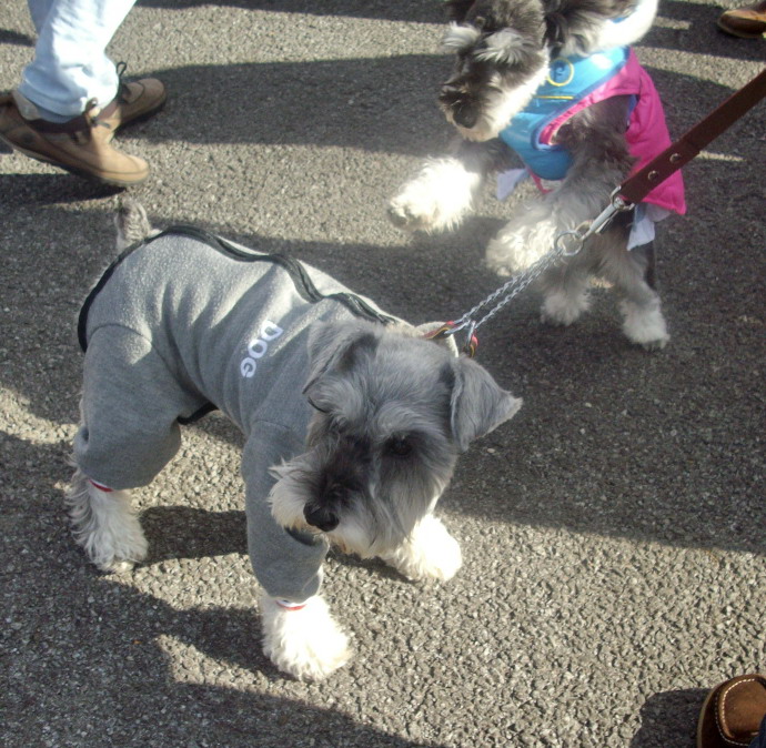 c0138198_1473626.jpg